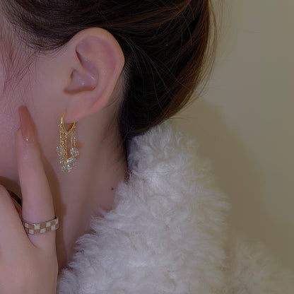 Net Crystal  Earrings